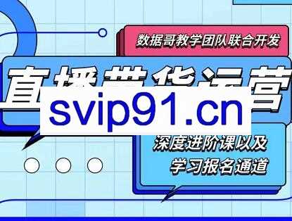 数据哥·新直播带货运营课(含电子资料)