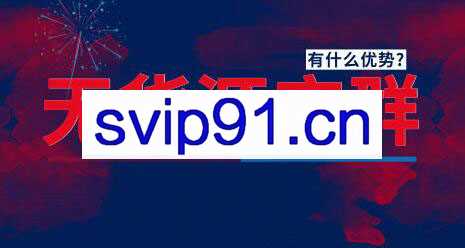 网淘那些事·2021无货源店群VIP教程