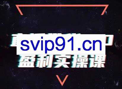 锡恩·直播带货3.0盈利实操课