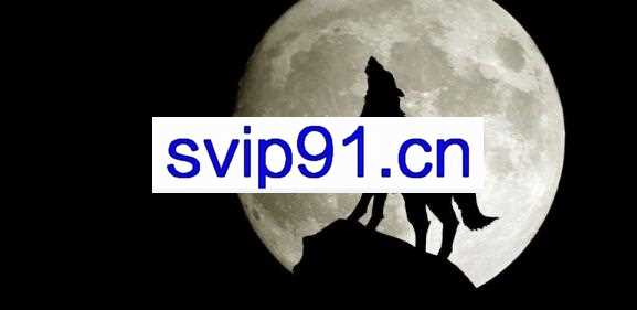 孤狼电商·店群+深度蓝海全套教程