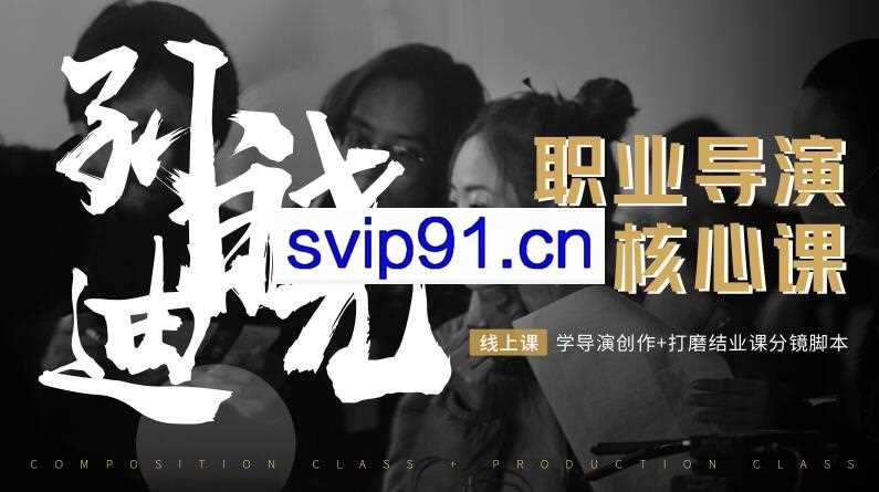 孙晓迪·职业导演核心课，价值6299元