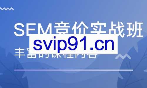 艾课网SEM课程，共二十多套