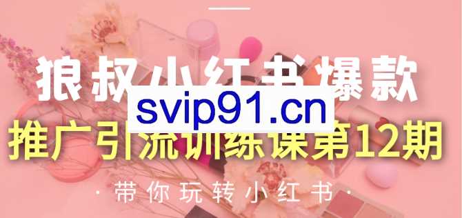 狼叔小红书爆款推广引流训练课第12期【无水印】