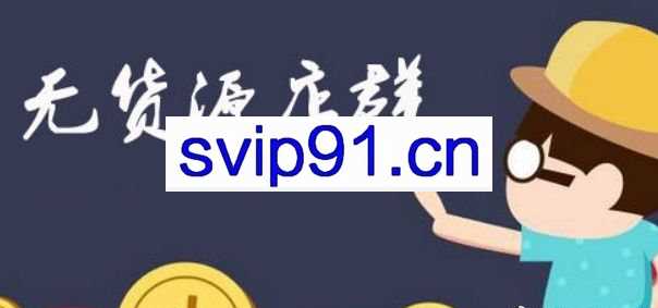 目标一个亿·2021新风口-拼多多虚拟店