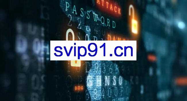 恶意代码分析实战课，价值399元