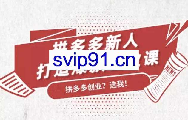 拼多多新人打造爆款创业课15期，价值299元(无水印)