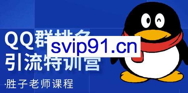 胜子《QQ群排名引流》