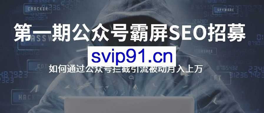 郭啸天·公众号霸屏SEO特训营(无水印)
