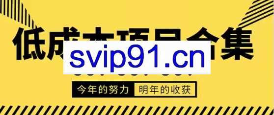 低成本零成本项目合集，价值万元资料