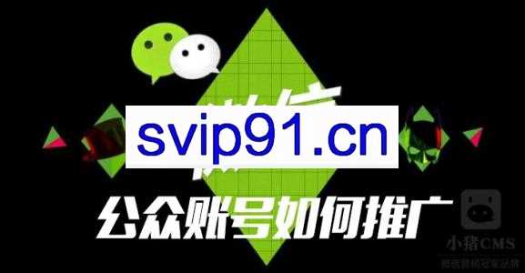 胜子：微信公众号排名引流(无水印)