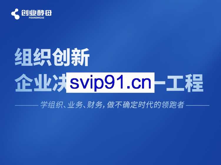 创业酵母：组织创新，企业决策者的第一工程