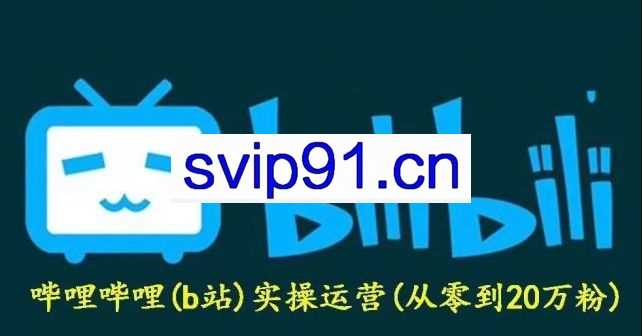 义乌之狼：哔哩实操运营项目,百度网盘免费下载