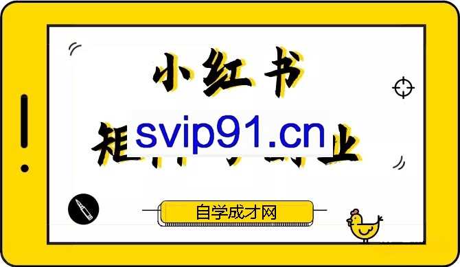 最佳拆手：小红书矩阵号副业课(无水印)