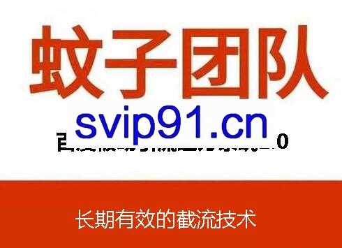 蚊子团队：截流技术+百度被动引流(无水印)