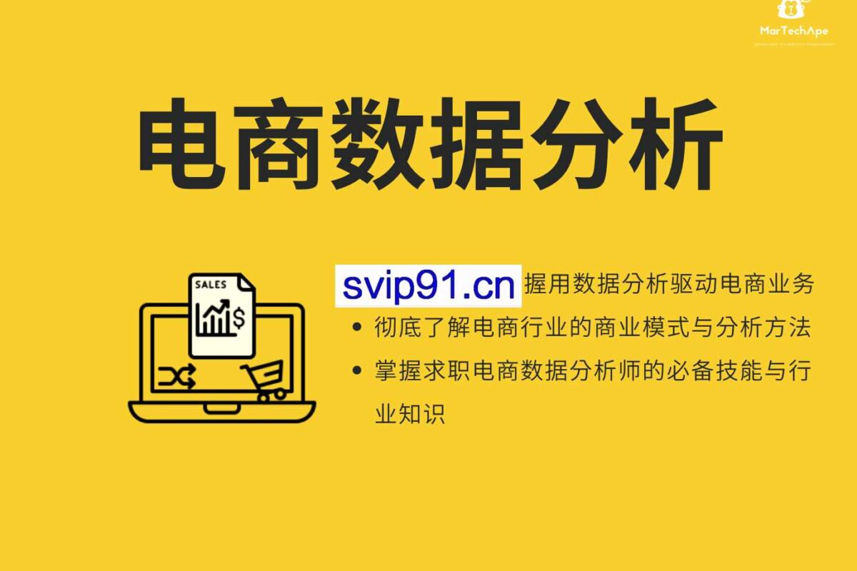 MarTechApe：从0到1手把手入门电商数据分析