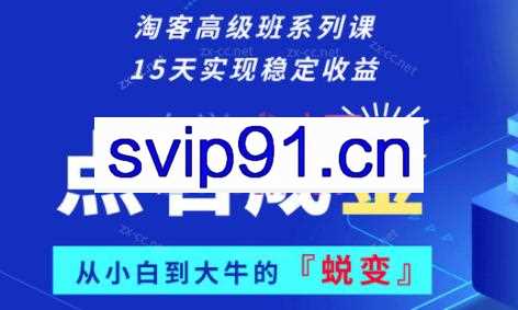 徐蔗老师·淘宝客高级班系列课