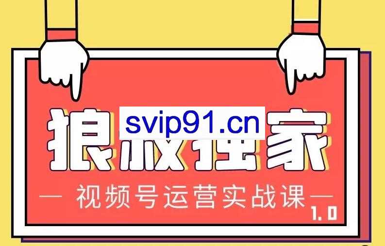 狼叔独家视频号运营实战课1.0