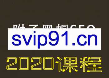 2020附子黑帽SEO视频教程 快速收录霸屏