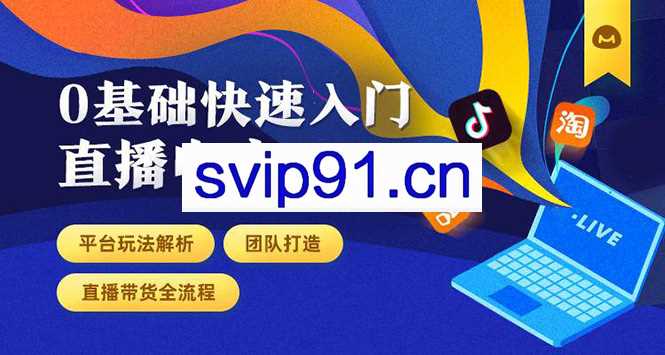馒头商学院：0基础快速入门直播电商(无水印)
