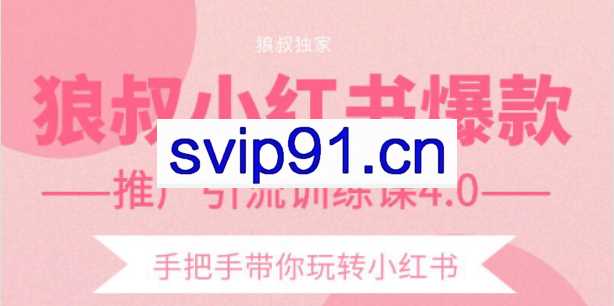 狼叔小红书爆款推广引流训练课4.0 规则/推荐/搜索/收录