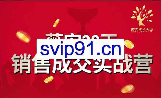 薇安28天销售成交实战高手训练营第6期