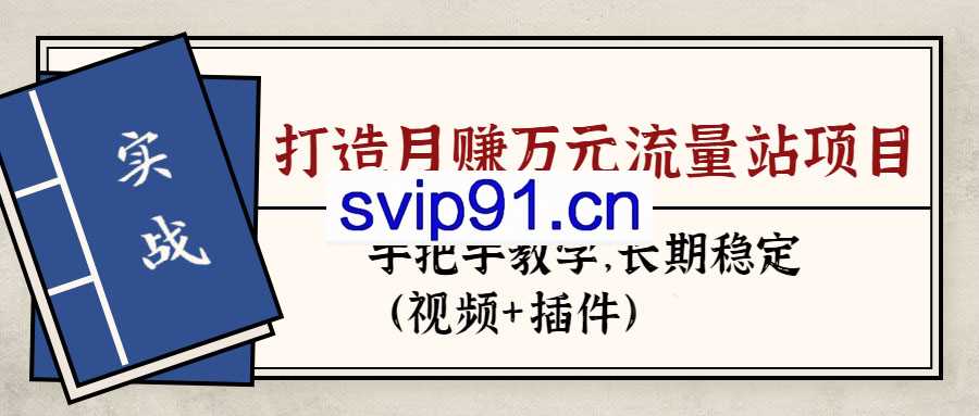 张子豪《实战打造月入万元的流量站的项目》站群实操