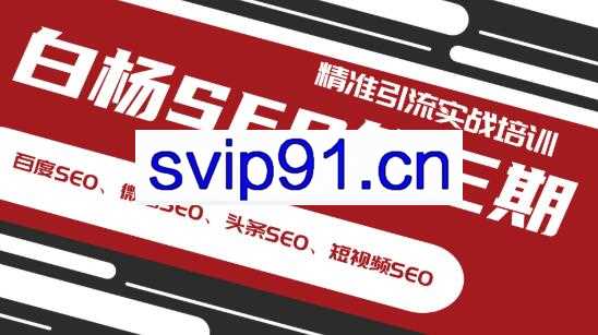百度seo引流实战培训,百度,微信,头条,短视频精准流量视频教程白杨SEO第三期