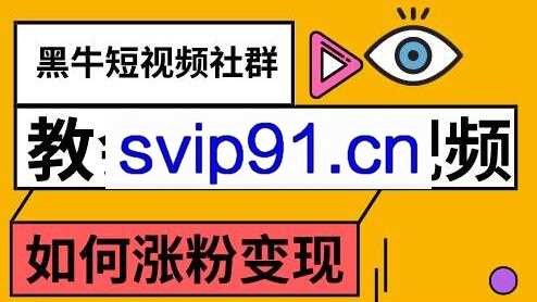 陈大黑牛·教会你做短视频涨粉变现，价值800元