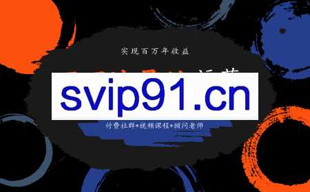 2020张新星SEO《百万流量站运营社群》一心一意做好流量站