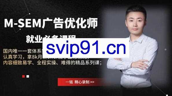王微·国内体系最完整M-SEM广告课程，价值1680元