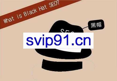 逆冬2019黑帽seo视频教程+工具 蜘蛛池技术泛目录讲解 批量长尾关键词快速排名