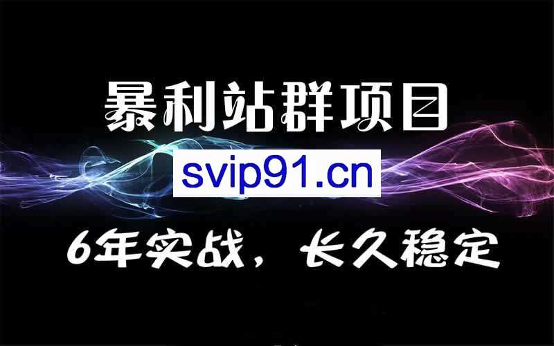 暴疯团队站群SEO赚钱项目 公众号赚钱项目课