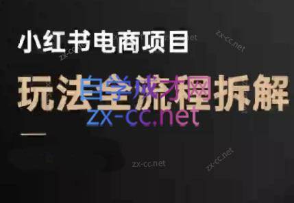 菲菲老师·小红书电商玩法（更新5月）