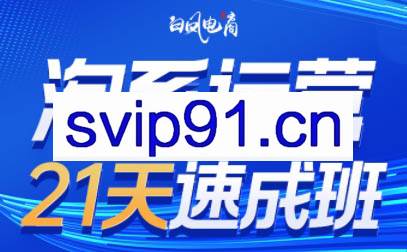 白凤电商·淘系运营21天速成班（更新6月）
