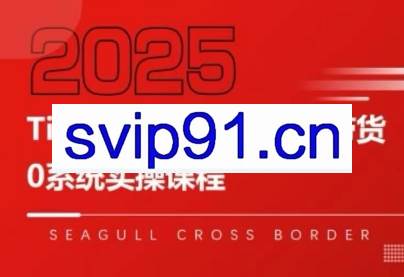 大亿老师·TikTok跨境0-1短视频带货