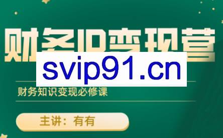 有有老师·财务IP变现营，财务知识变现必修课