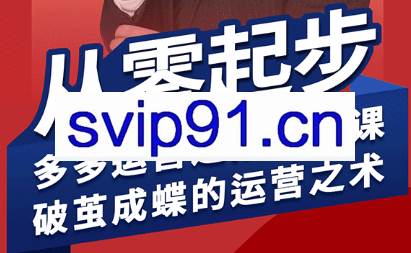 海神·拼多多运营进阶系统课（更新8月）