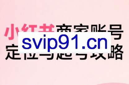 大晴老师·小红书电商全链路实战从定位到爆单（更新8月）