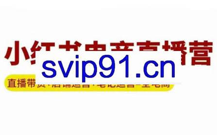 申铭老师·小红书电商直播营(更新)