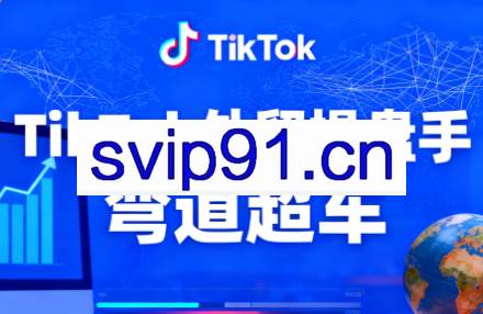TikTok外贸操盘手(更新11月)