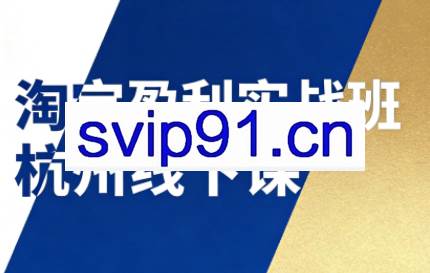 爱上黄昏·淘宝盈利实战班杭州线下课12月26-28日（音频+字幕）