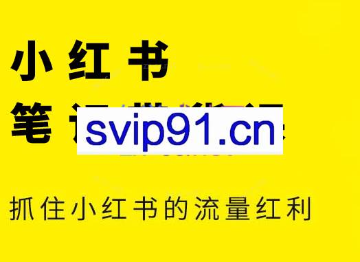 张宾·小红书笔记带货课（更新2026）