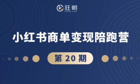 盗坤·抖音小红书视频号短视频带货与直播变现(11-20期)