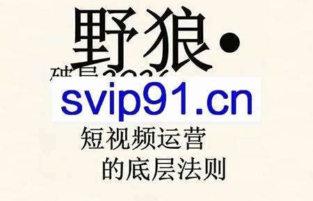 野狼团队·多平台实操运营课（更新4月）