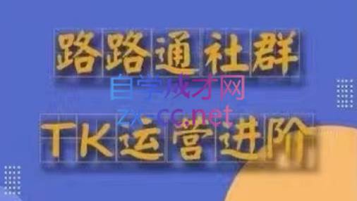 路路通·跨境TikTok全套课程（更新43期）