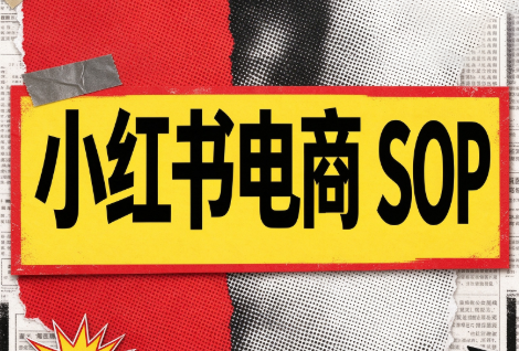 书豪必胜小红书电商sop(更新9月)
