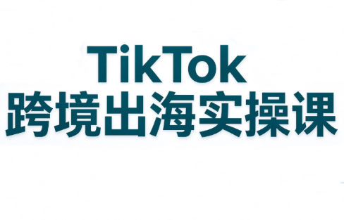 彭老师·TikTok跨境出海实操课